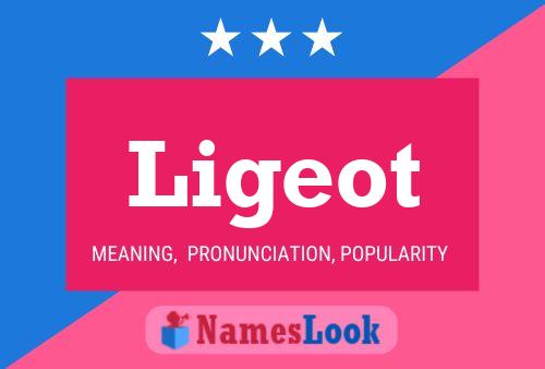 Póster del nombre Ligeot