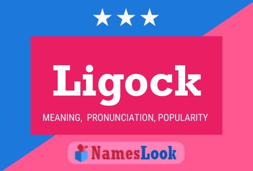 Póster del nombre Ligock