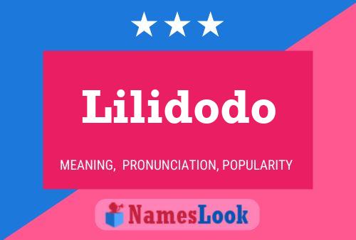 Póster del nombre Lilidodo