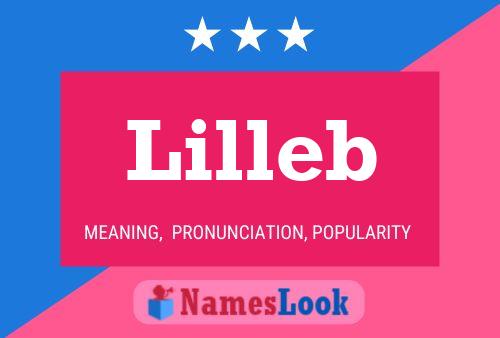 Póster del nombre Lilleb