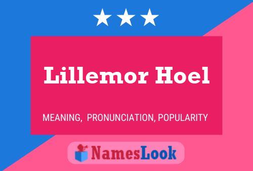 Póster del nombre Lillemor Hoel