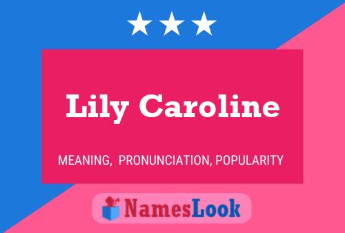 Póster del nombre Lily Caroline