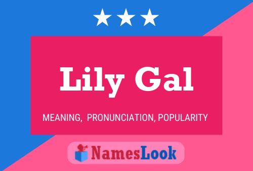 Póster del nombre Lily Gal