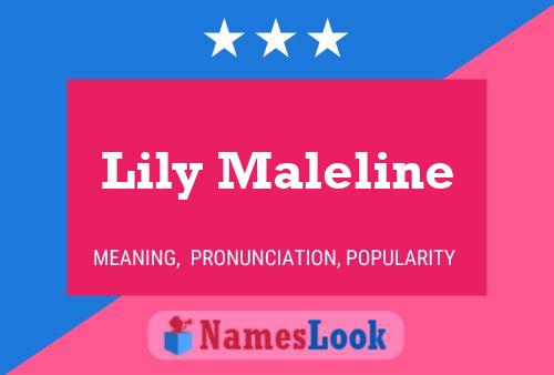 Póster del nombre Lily Maleline