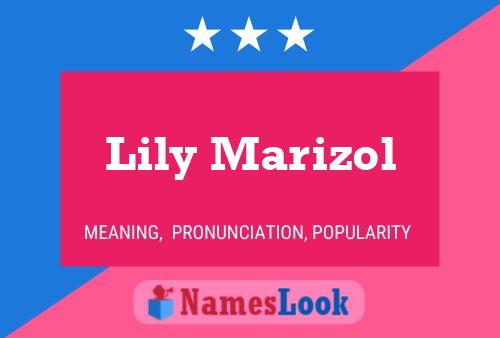 Póster del nombre Lily Marizol