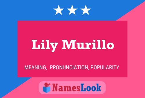 Póster del nombre Lily Murillo