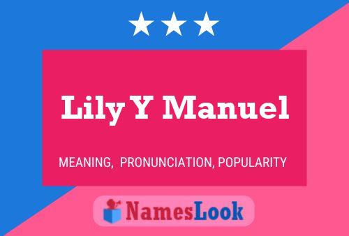 Póster del nombre Lily Y Manuel