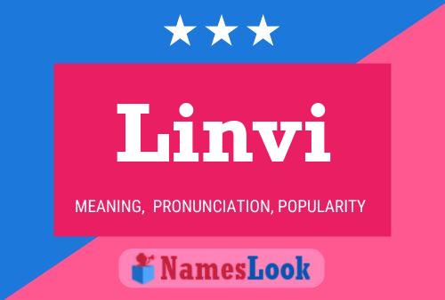 Póster del nombre Linvi