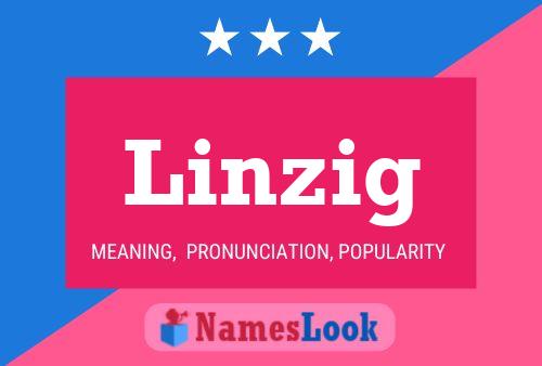 Póster del nombre Linzig