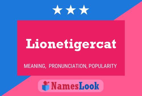 Póster del nombre Lionetigercat