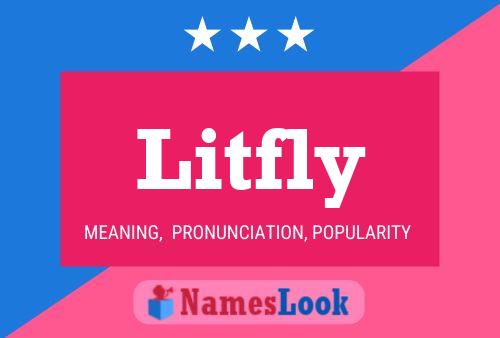 Póster del nombre Litfly