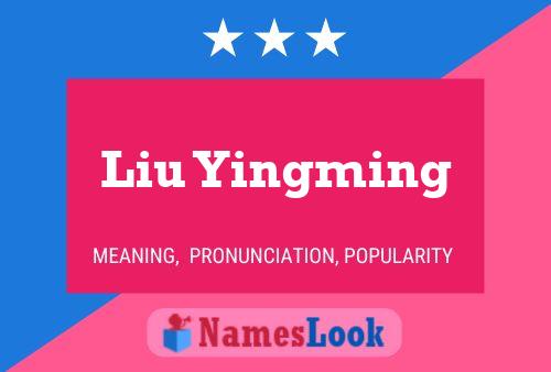 Póster del nombre Liu Yingming