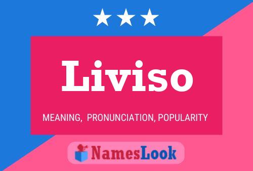 Póster del nombre Liviso