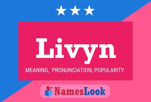 Póster del nombre Livyn