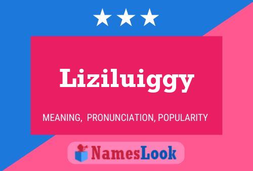 Póster del nombre Liziluiggy