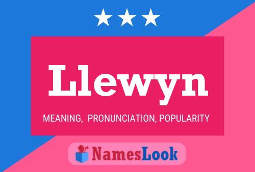 Póster del nombre Llewyn