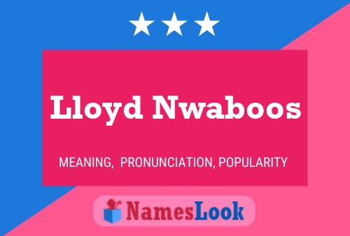 Póster del nombre Lloyd Nwaboos