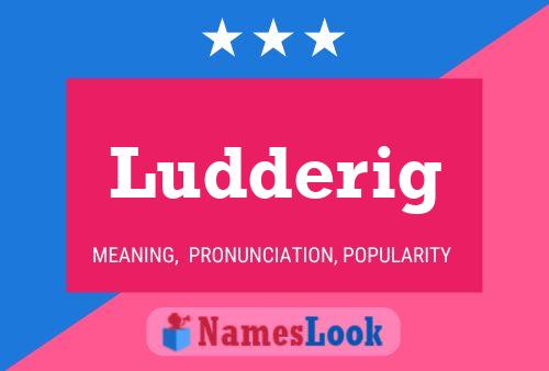 Póster del nombre Ludderig