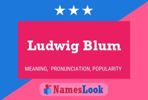 Póster del nombre Ludwig Blum