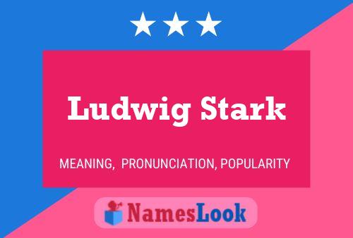 Póster del nombre Ludwig Stark