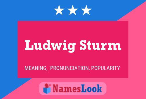 Póster del nombre Ludwig Sturm