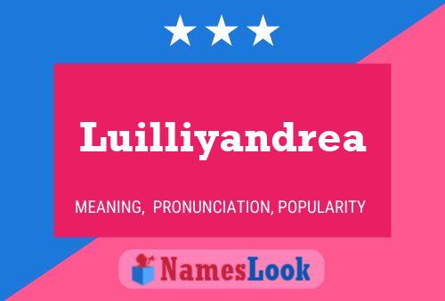 Póster del nombre Luilliyandrea