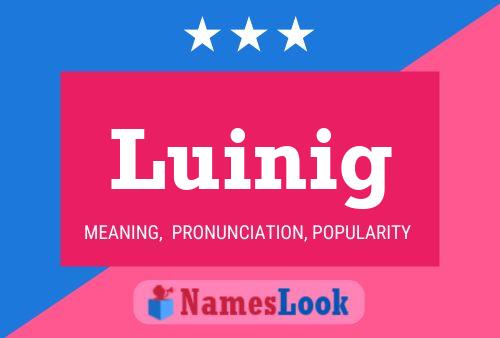 Póster del nombre Luinig