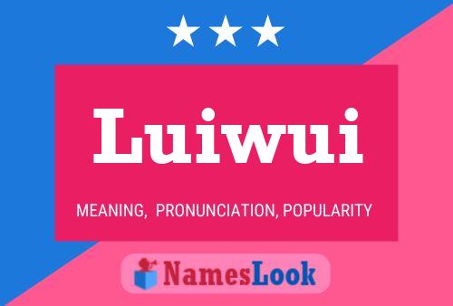 Póster del nombre Luiwui