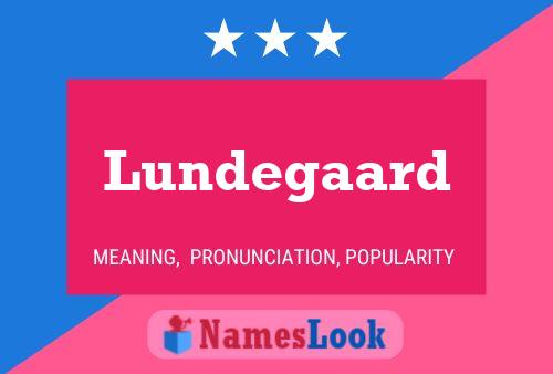 Póster del nombre Lundegaard