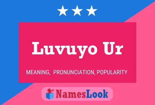 Póster del nombre Luvuyo Ur