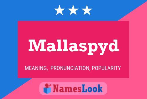 Póster del nombre Mallaspyd