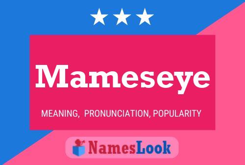 Póster del nombre Mameseye