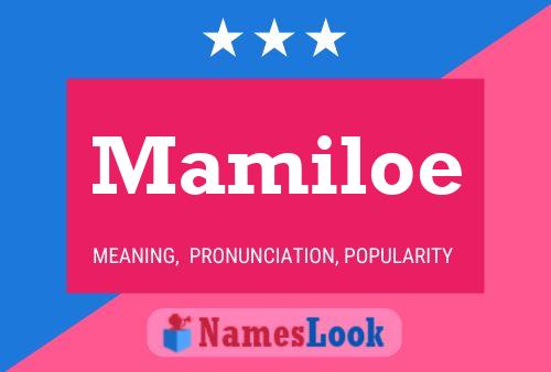 Póster del nombre Mamiloe