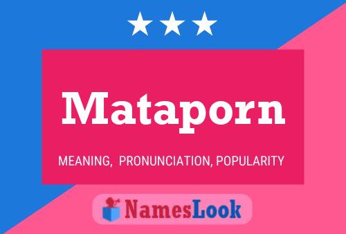 Póster del nombre Mataporn