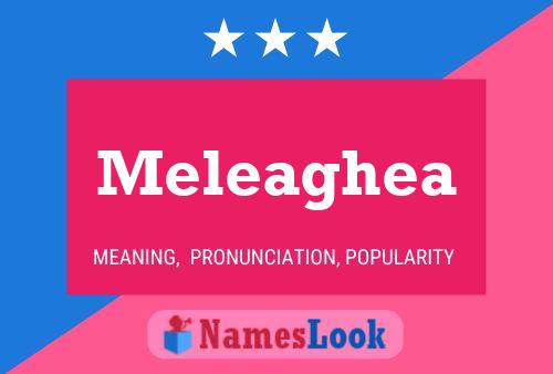 Póster del nombre Meleaghea