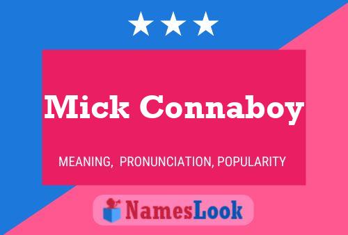 Póster del nombre Mick Connaboy