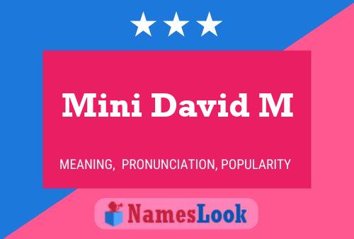 Póster del nombre Mini David M