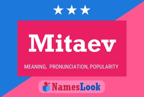 Póster del nombre Mitaev