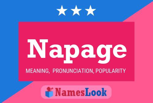 Póster del nombre Napage