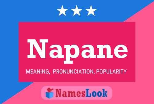 Póster del nombre Napane