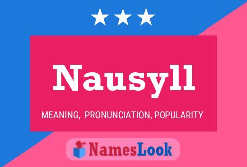 Póster del nombre Nausyll