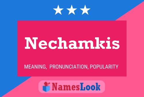 Póster del nombre Nechamkis