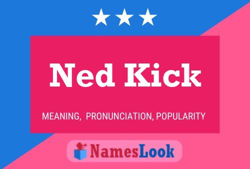 Póster del nombre Ned Kick