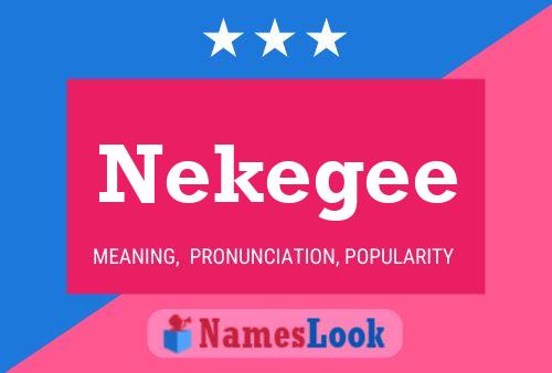 Póster del nombre Nekegee