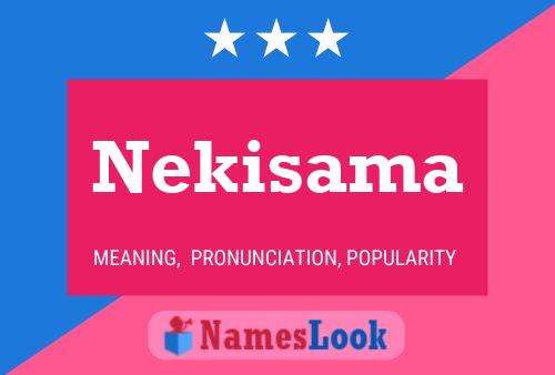 Póster del nombre Nekisama