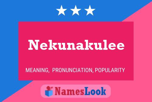 Póster del nombre Nekunakulee