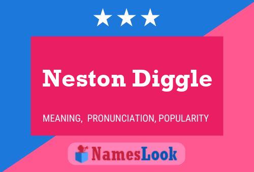 Póster del nombre Neston Diggle