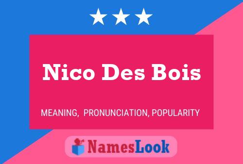 Póster del nombre Nico Des Bois