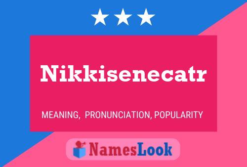 Póster del nombre Nikkisenecatr