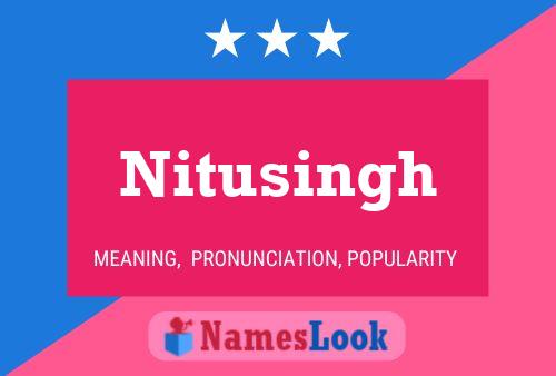 Póster del nombre Nitusingh